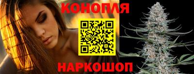 spice Будённовск