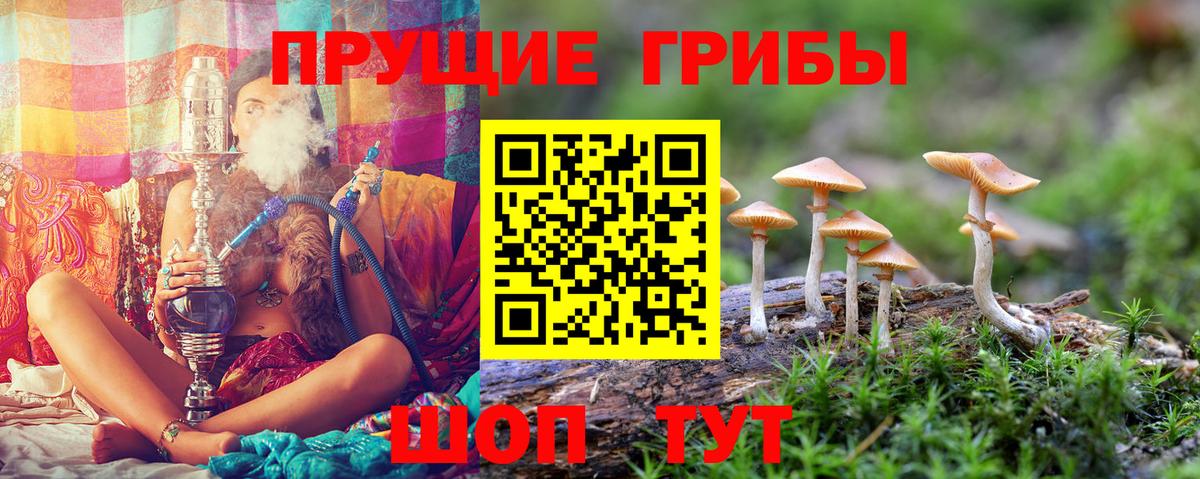 Галлюциногенные грибы мухоморы Узловая
